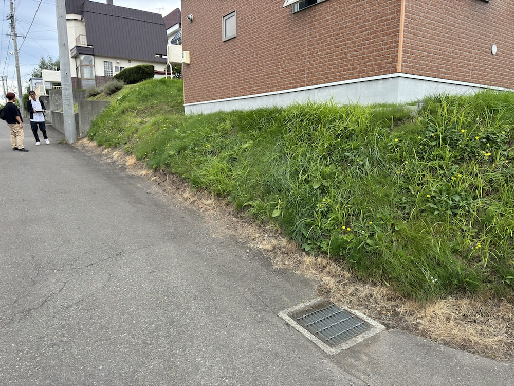Before Image