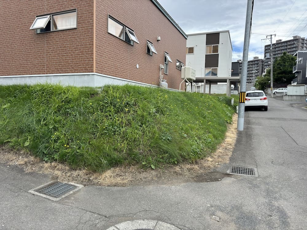 Before Image