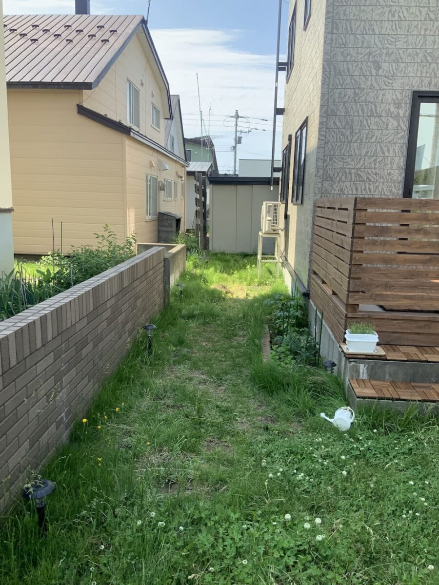 Before Image