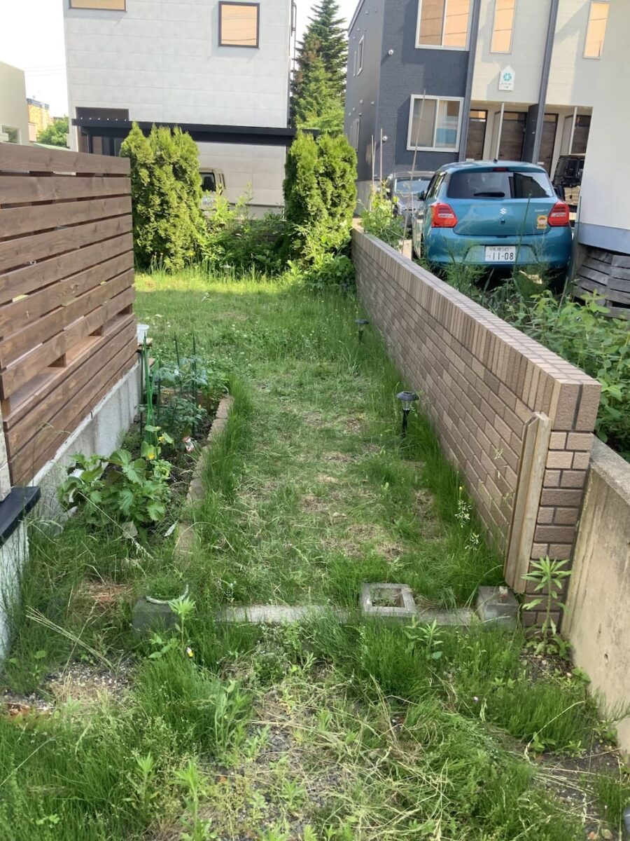 Before Image