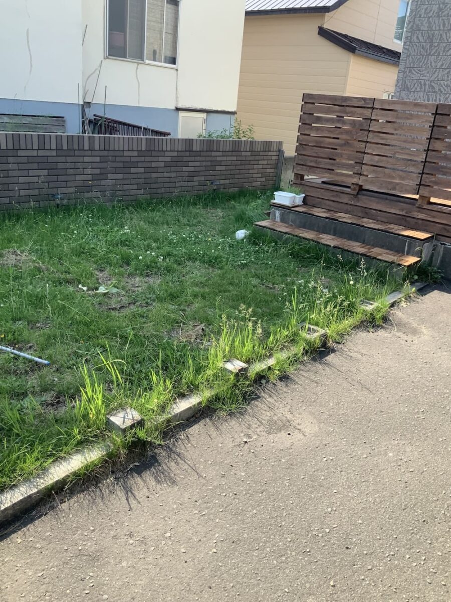 Before Image